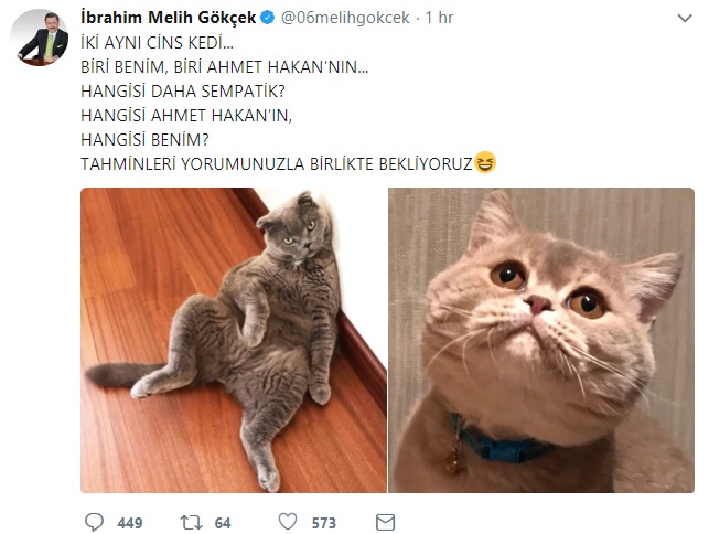 melih gokcek ile ahmet hakan in kedi atismasi turkiye gundemi