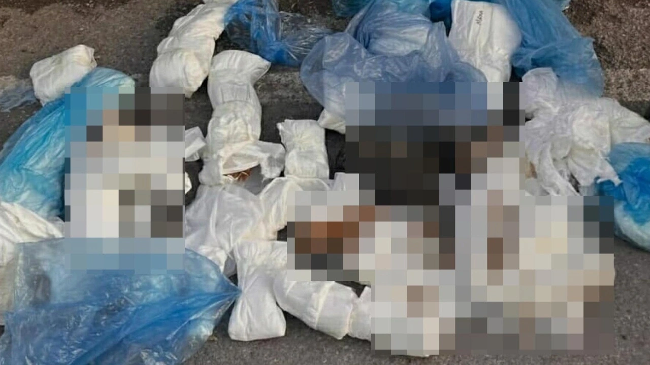 33 kedinin öldürüldüğü olayda başsavcılığın itirazı kabul edildi