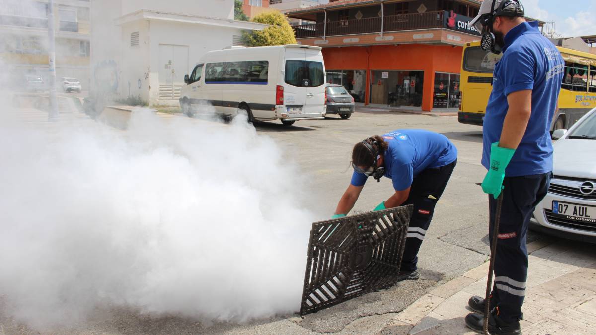 Büyükşehir ekipleri, Antalya merkezinin yanı sıra 19 ilçede de gerçekleştirdiği çalışmalar ile larva
