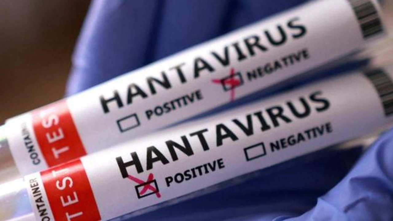 Hantavirüs karantinası için korkutan çıkış! Ünlü profesör riskleri tek tek sıraladı