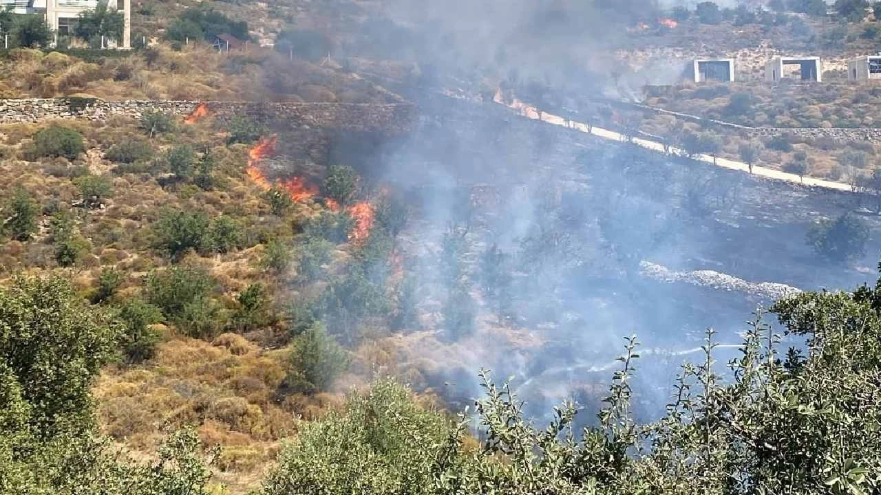 Muğla'nın Bodrum ilçesinde Dereköy Mahallesi yakınlarındaki makilik alanda henüz belirlenemeyen nedenle yangın çıktı
