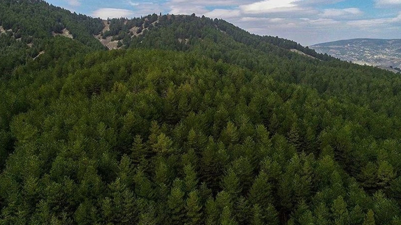 Özelleştirme 19 Mayıs'ta da durmadı