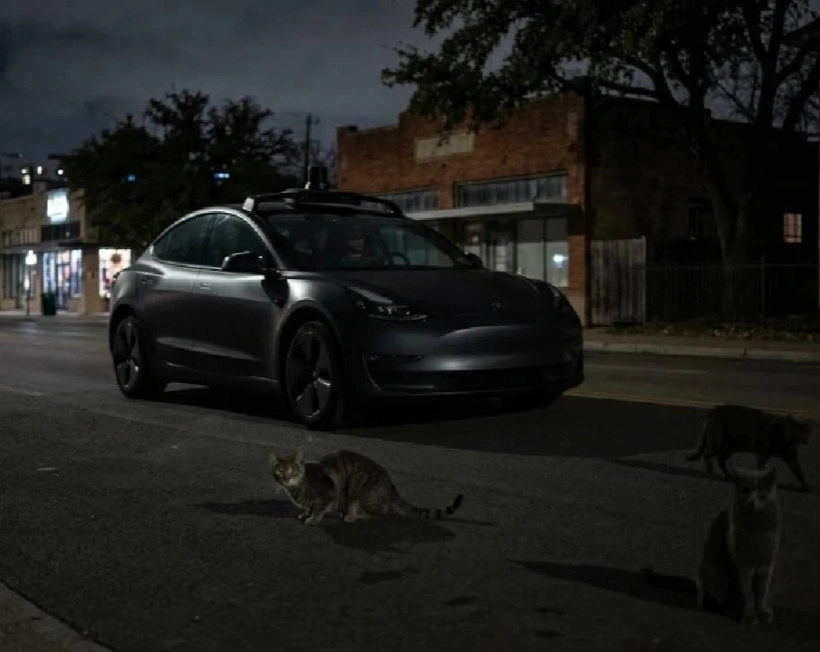 Tesla pes etti: Kediler kazandı!