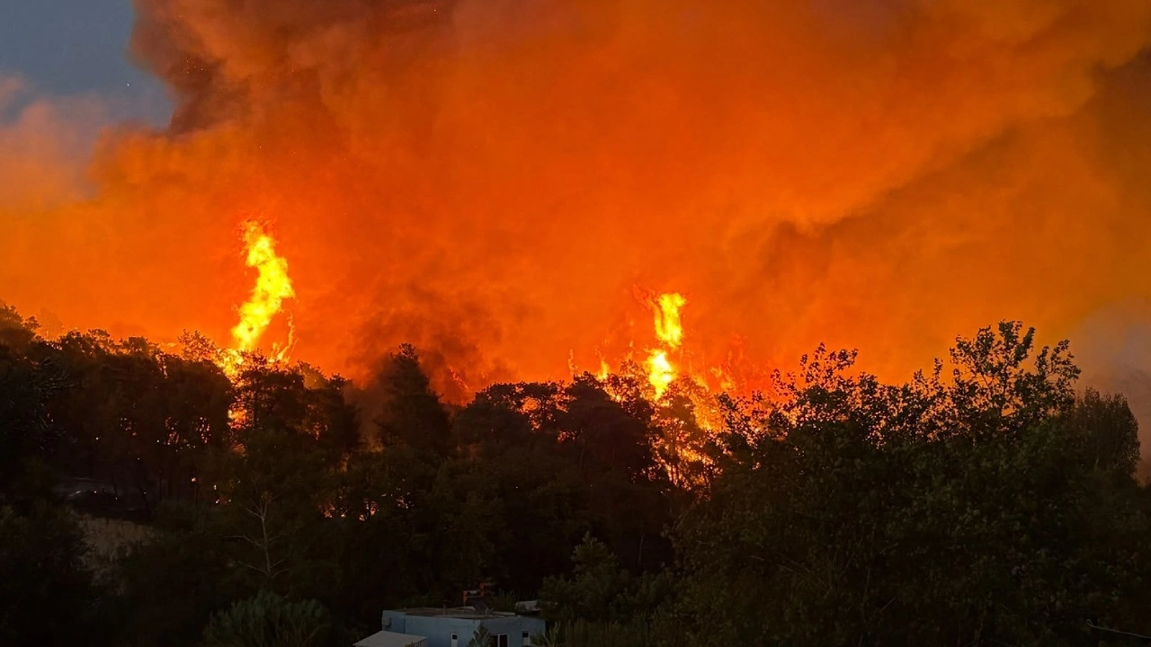 Son Dakika Antalya'da orman yangını