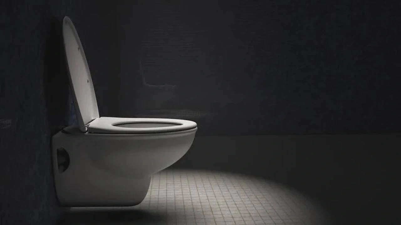 Tarihin en karanlık bölgesi! Tehlikeli klozetler ve sıra dışı ölümler